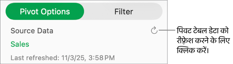 पिवट विकल्प टैब जो पिवट टेबल को रीफ़्रेश करने के लिए विकल्प दिखाता है।