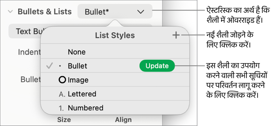 “सूची शैलियाँ” पॉप-अप मेन्यू जिसमें नई शैली बटन के लिए ओवरराइड, कॉलआउट इंगित करने वाला ऐस्टरिस्क है और शैलियाँ प्रबंधित करने के लिए विकल्पों का सबमेन्यू है।