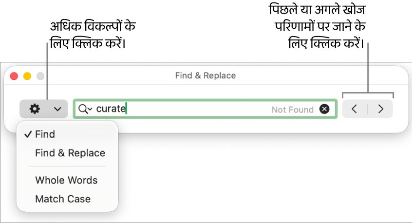 “ढूँढें और बदलें” विंडो जिसमें पॉप-अप मेनू “ढूँढें”, “ढूँढें और बदलें” “पूरे शब्द” और “मैच केस” के लिए विकल्प दिखा रहा है। दाईं ओर के तीर आपको अगले और पिछले खोज परिणाम पर जाने की सुविधा उपलब्ध कराता है।