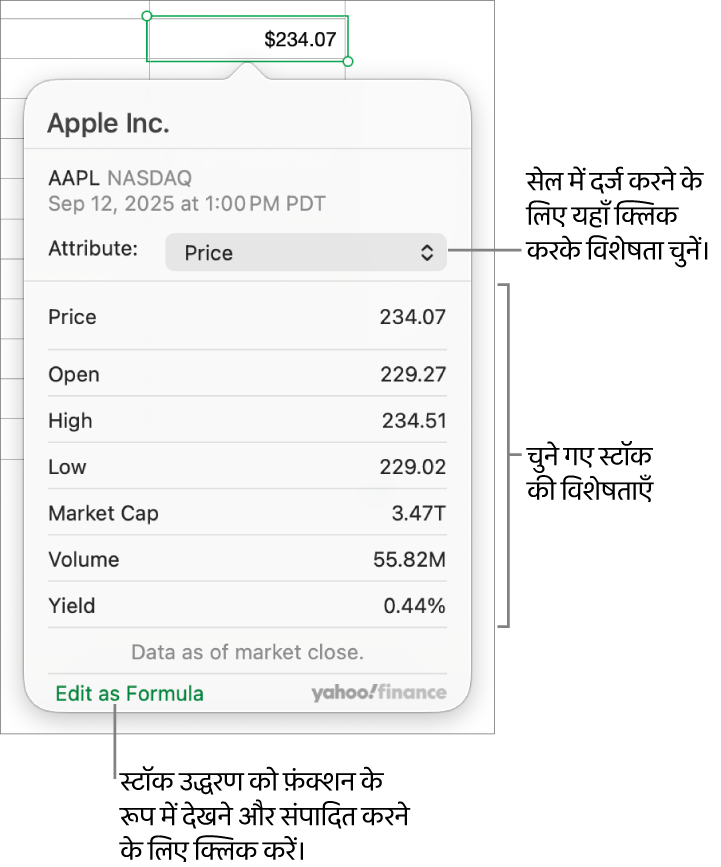 Apple के साथ चुने गए स्टॉक के रूप में स्टॉक एट्रिब्यूट जानकारी दर्ज करने के लिए डायलॉग।