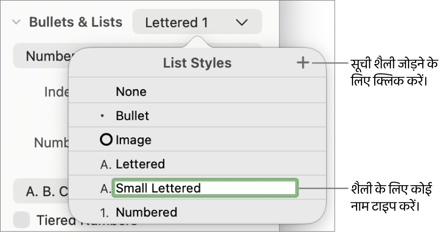 शीर्ष-दाएँ कोने में “जोड़ें” बटन के साथ “सूची शैली” मेनू और अपने चुने गए टेक्स्ट के साथ एक प्लेसहोल्डर शैली नाम।