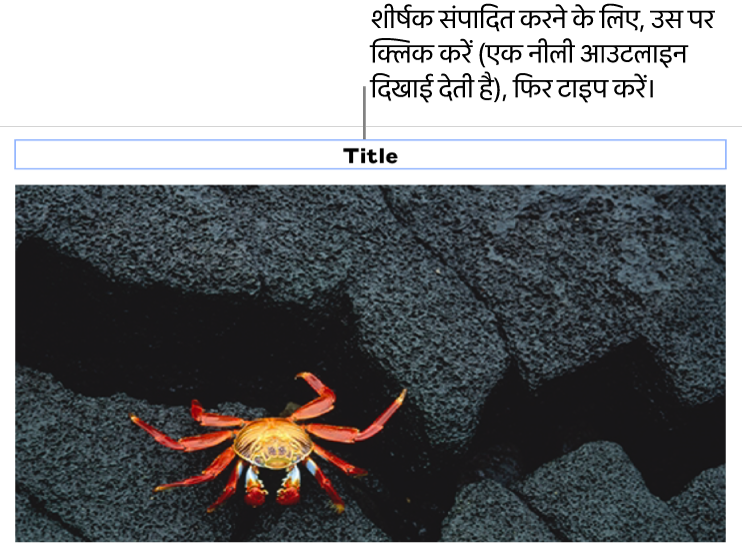 प्लेसहोल्डर शीर्षक, “शीर्षक” तस्वीर के नीचे दिखाई देता है; यह चयनित है दिखाने के लिए शीर्षक फ़ील्ड के चारों तरफ़ एक नीली आउटलाइन दिखाई देती है।