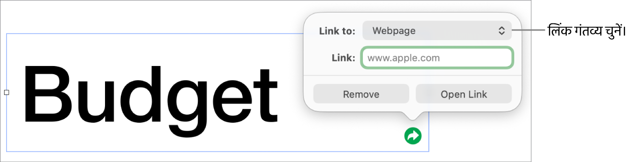 चुने गए वेबपृष्ठ के साथ लिंक संपादक नियंत्रण और सबसे नीचे “लिंक हटाएँ” और “लिंक खोलें” बटन।