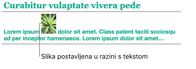 Slika se postavlja u razini s tekstom.