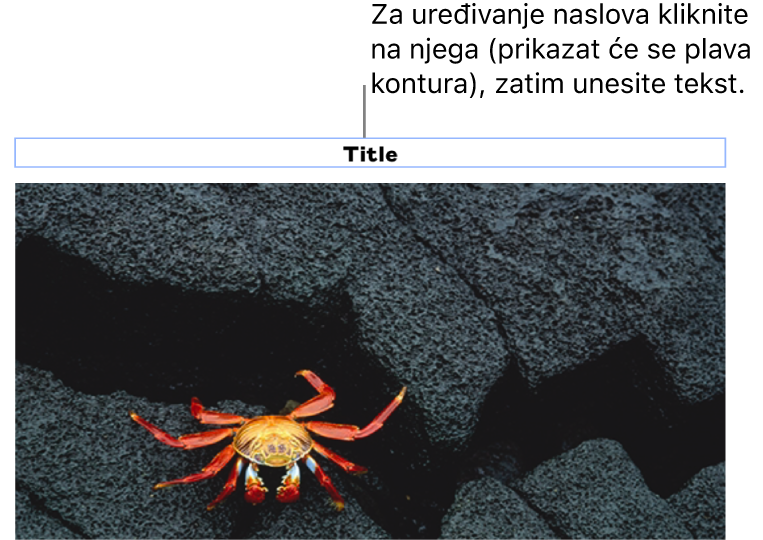 Naslov držača mjesta, “Naslov“ se javlja ispod fotografije; plavi obrub oko polja opisa ukazuje da je odabran.