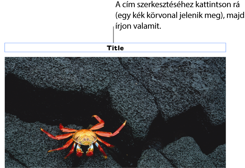 A helyőrző cím „Cím” egy fotó alatt látható, míg a cím mező körül látható kék körvonal azt jelzi, hogy a mező ki van jelölve.