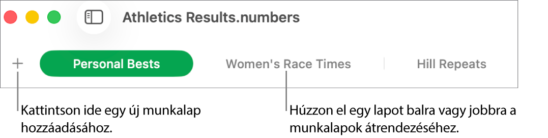 Lapsáv új munkalap hozzáadásához és munkalapok átrendezéséhez.