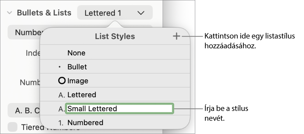 A Listastílusok előugró menü a felső sarokban található Hozzáadás gombbal és egy helyőrző stílusnévvel, amelynek szövege ki van jelölve.
