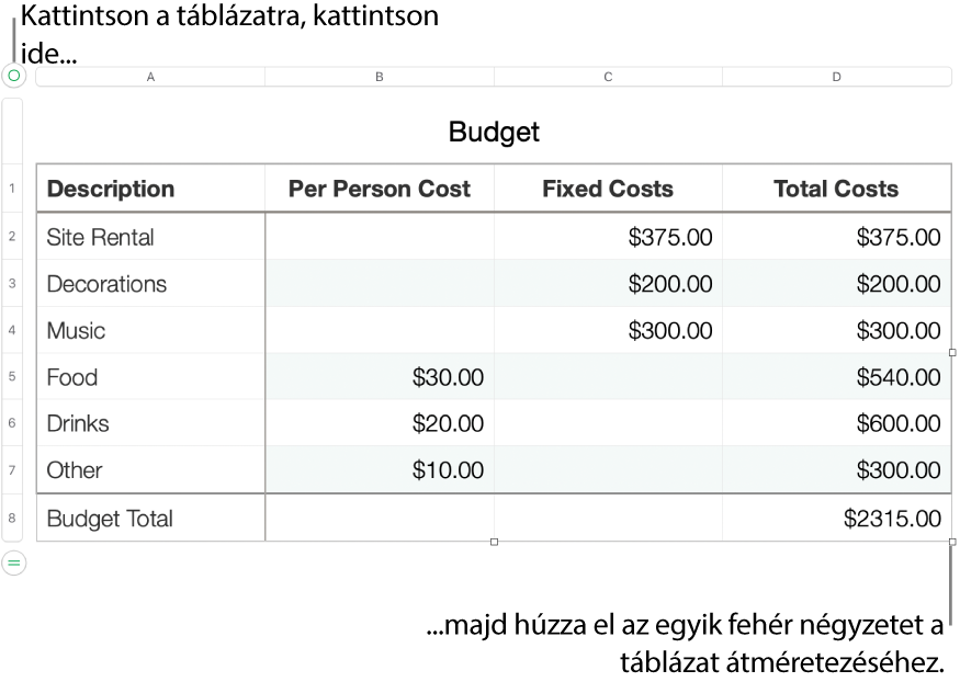 Kijelölt táblázat, átméretezésre szolgáló fehér négyzetekkel.