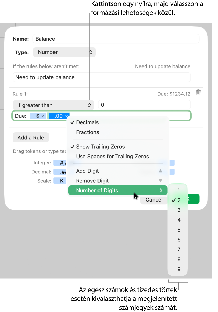 Az Egyéni cellaformátum-ablak egyéni formázásra szolgáló vezérlőkkel.