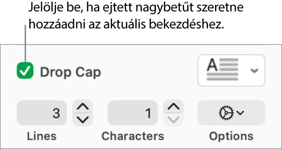 Az Ejtett nagybetű jelölőnégyzet be van jelölve, a négyzet jobb oldalán egy előugró menü látható, a menü alatt pedig a sorok magasságának, a karakterek számának és az egyéb lehetőségeknek beállítására szolgáló vezérlők jelennek meg.