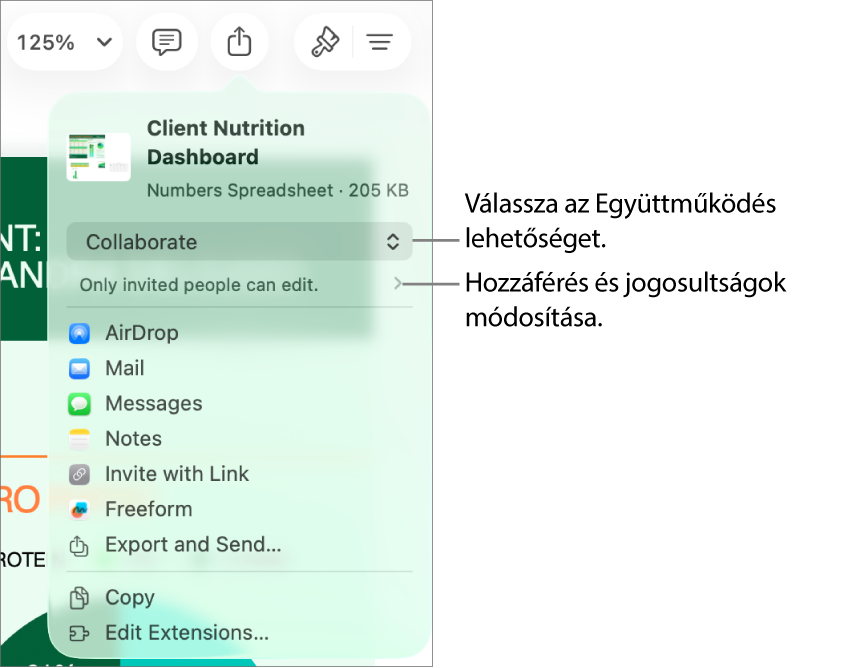 A Megosztás menü a felül kijelölt Együttműködés lehetőséggel, és az alatt látható hozzáférési és jogosultsági beállításokkal.