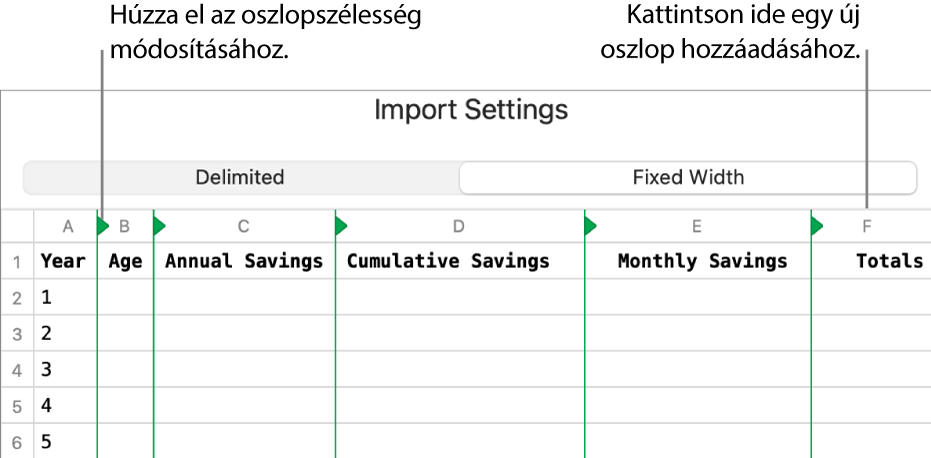 A rögzített szélességű szövegfájlok importálási beállításai.