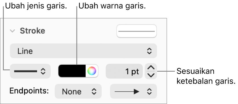 Kontrol goresan untuk mengatur titik akhir, ketebalan garis, dan warna.