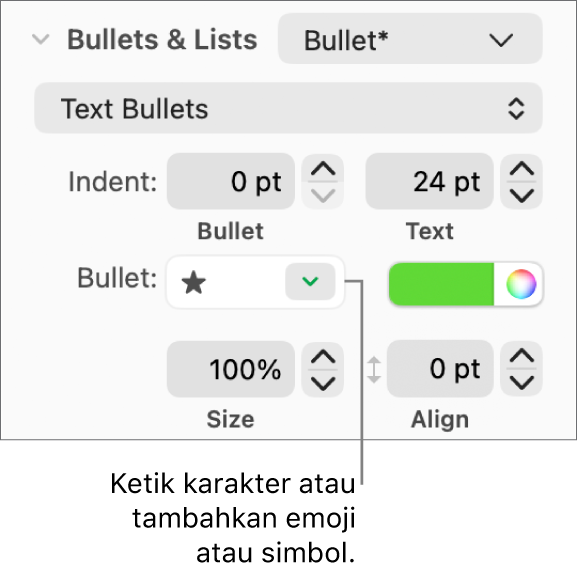 Bagian Poin & Daftar pada bar samping Format. Bidang Poin menampilkan emoji bintang.