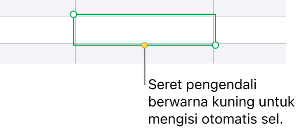 Sel yang dipilih dengan pengendali kuning yang dapat diseret untuk mengisi-auto sel.