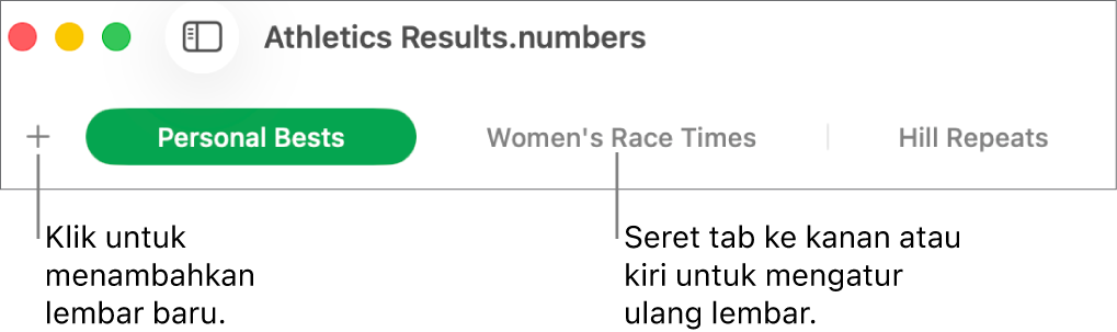 Bar tab untuk menambah lembar baru dan mengatur ulang lembar.