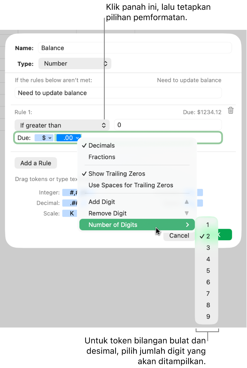 Jendela format sel khusus dengan kontrol untuk memilih pilihan pemformatan khusus.