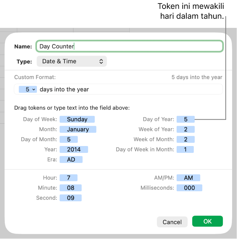 Format sel tanggal dan waktu khusus.