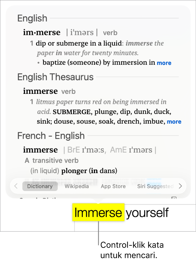 Teks dengan kata yang disorot dan jendela yang menampilkan definisinya dan entri tesaurus. Tiga tombol di bagian bawah jendela memberikan tautan ke kamus, Wikipedia, dan situs web yang disarankan oleh Siri.