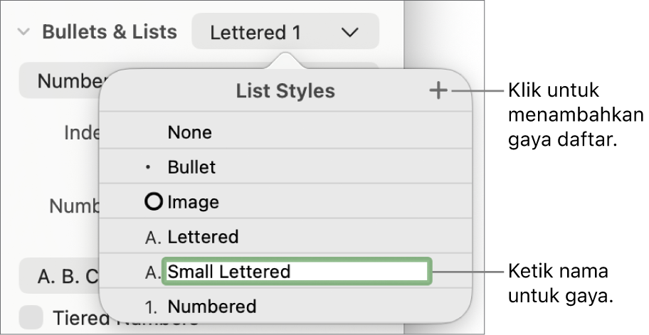 Menu pop-up Gaya Daftar dengan tombol Tambah di pojok kanan atas dan nama gaya placeholder dengan teksnya dipilih.