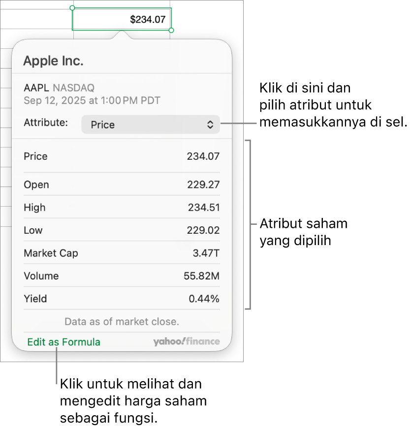 Dialog untuk memasukkan informasi atribut saham, dengan Apple sebagai saham yang dipilih.