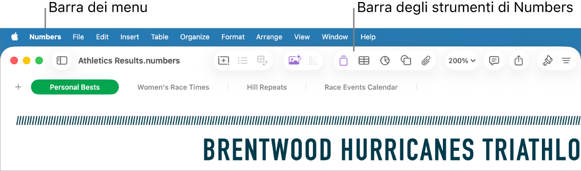 La barra dei menu nella parte superiore dello schermo con i menu Apple, Numbers, File, Modifica, Inserisci, Tabella, Organizza, Formato, Disposizione, Visualizza, Finestra e Aiuto. Sotto alla barra dei menu è presente un foglio di calcolo Numbers con i pulsanti della barra strumenti Visualizza, Ridimensiona, “Aggiungi categoria”, “Tabella pivot”, Inserisci, Tabella, Grafico e Testo nella parte superiore.