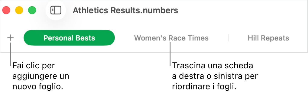 Barra dei pannelli per aggiungere un nuovo foglio e riorganizzare i fogli.
