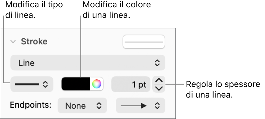 Controlli per il tratto, per impostare i punti finali, lo spessore della linea e il colore.