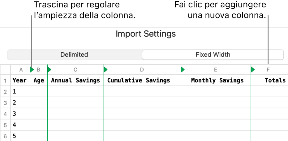 Impostazioni di importazione per un file di testo a larghezza fissa.