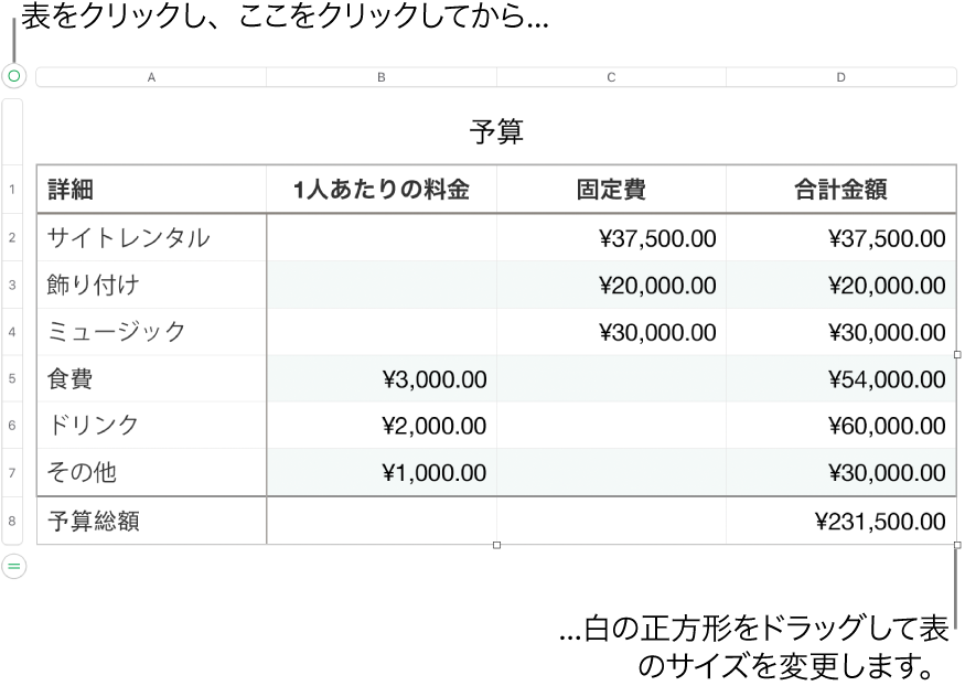 選択された表。サイズを変更するための白い正方形が表示された状態。
