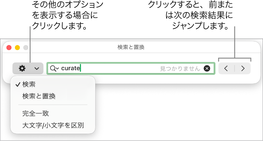 「検索と置換」ウインドウ。「検索」、「検索と置換」、「完全一致」、「大文字小文字を区別」のオプションを表示するポップアップメニューが表示された状態。右にある矢印で前または次の検索結果にジャンプできます。