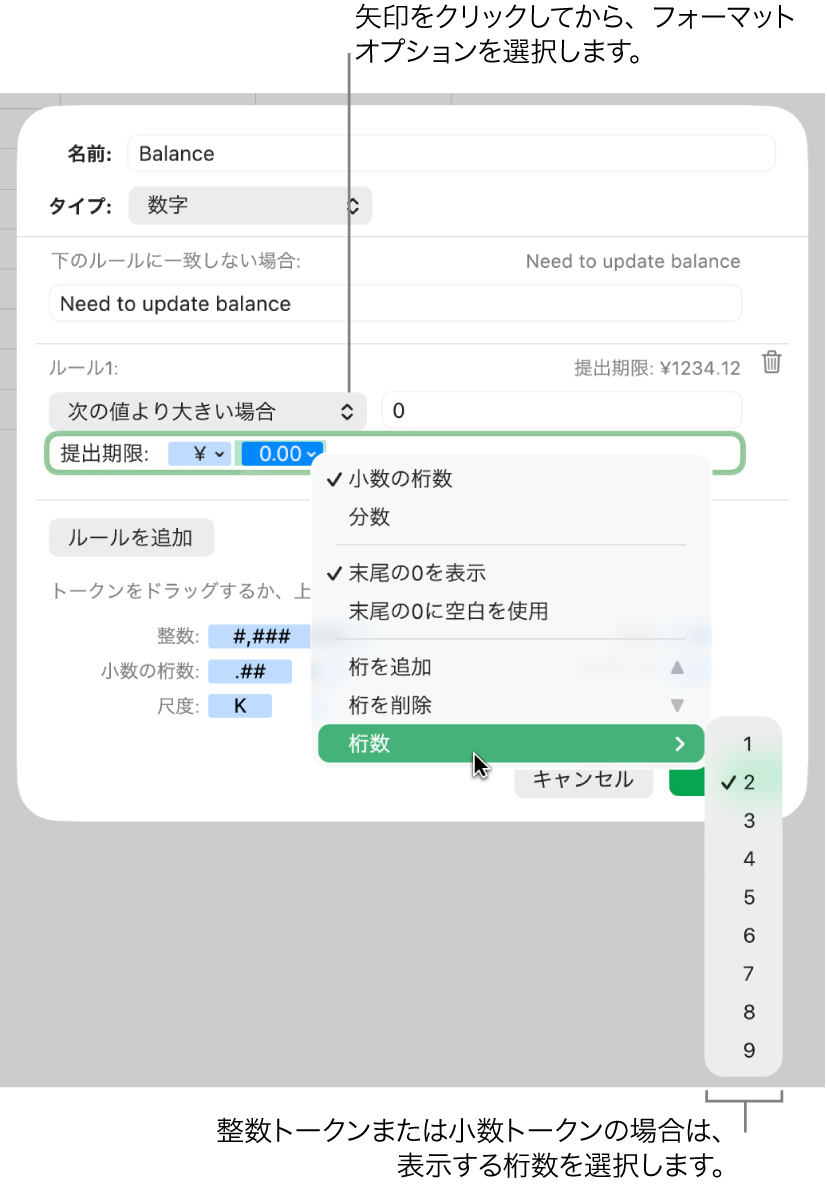 カスタムのセルフォーマットのウインドウ。カスタムフォーマットのオプションを選択するためのコントロールが表示された状態。