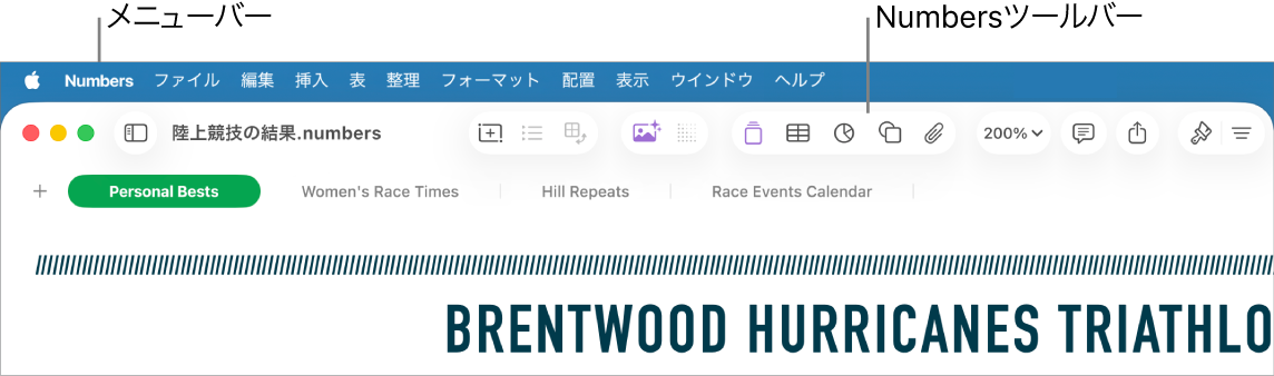画面上部のメニューバー。アップルメニュー、Numbers、ファイル、編集、挿入、表、整理、フォーマット、配置、表示、ウインドウ、ヘルプのメニューがあります。メニューバーの下でNumbersスプレッドシートが開いています。上部のツールバーには、表示、拡大/縮小、カテゴリを追加、ピボットテーブル、挿入、表、グラフ、テキストのボタンがあります。