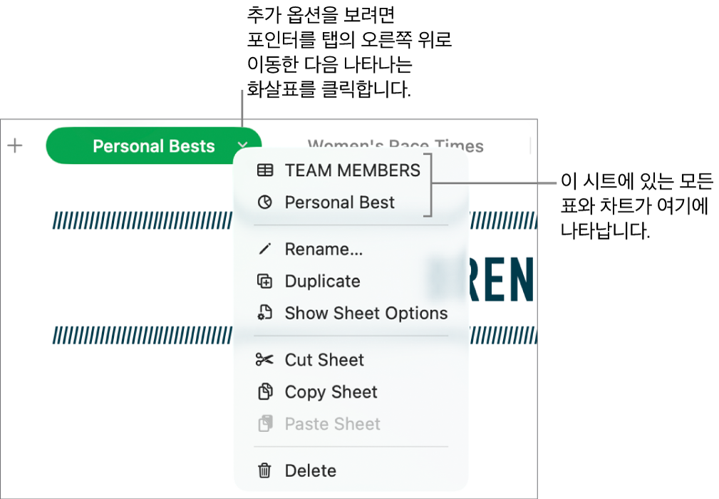 단축 메뉴가 열려 있고 복제를 포함하는 옵션을 표시하는 스프레드시트 탭.