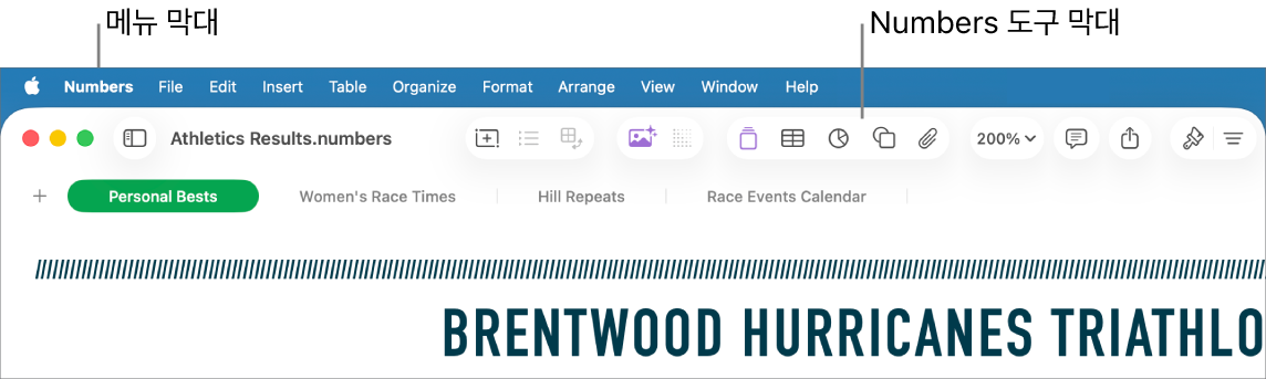Apple, Numbers, 파일, 편집, 삽입, 표, 구성, 포맷, 정렬, 보기, 윈도우, 도움말 메뉴가 있는 화면 상단의 메뉴 막대. 메뉴 막대 아래에 있는 열린 Numbers 스프레드시트의 화면 상단에 보기, 확대/축소, 카테고리 추가, 피벗 테이블, 삽입, 표, 차트 및 텍스트가 있는 도구 막대가 있음.
