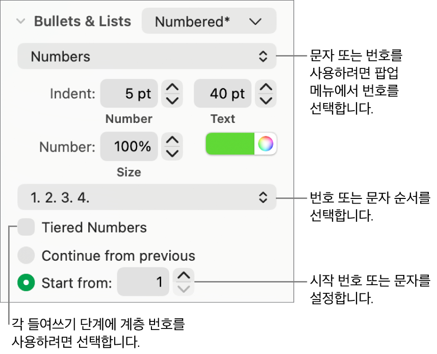 숫자 스타일 및 목록 간격 변경용 제어기.