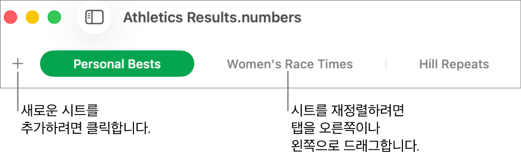 새로운 시트 추가 및 시트 재구성을 위한 탭 막대.