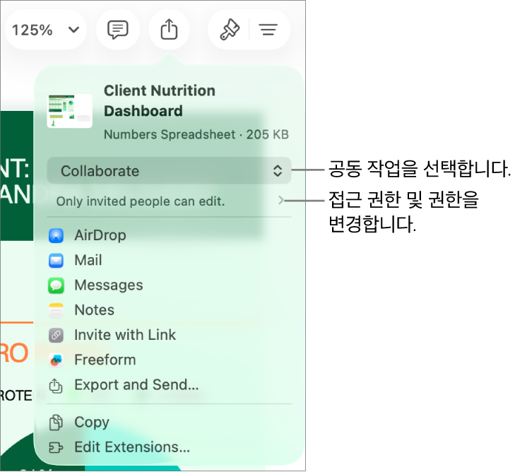 상단에 공동 작업이 선택되어 있는 공유 메뉴가 있고, 그 아래에는 접근 및 권한 설정이 있음.
