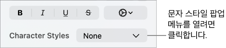 문자 스타일 팝업 메뉴.