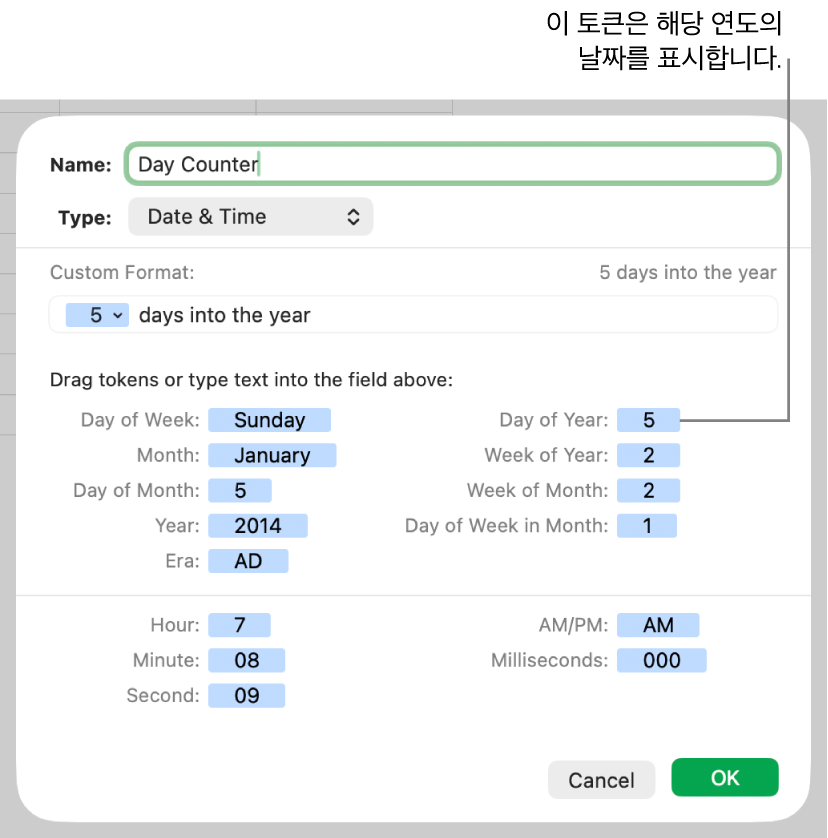 사용자 설정 날짜 및 시간 셀 포맷.