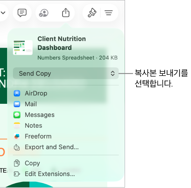상단에 복사본 보내기가 선택되어 있는 공유 메뉴.