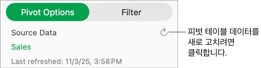 피벗 테이블을 새로고침할 수 있는 옵션을 표시하는 피벗 옵션 탭.