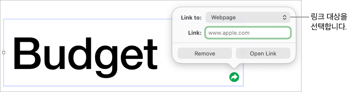 웹 페이지가 선택되어 있고, 하단에 제거 및 링크 열기 버튼이 있는 링크 편집 제어기.