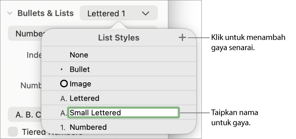 Menu timbul Gaya Senarai dengan butang Tambah di penjuru kanan atas dan nama gaya ruang letak dengan teksnya dipilih.