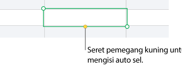 Sel yang dipilih dengan pemegang kuning yang boleh anda seret untuk mengisi auto sel.