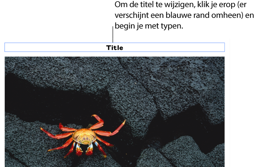 Boven een foto staat de plaatsaanduiding 'Titel'. Een blauwe rand om het titelveld geeft aan dat het geselecteerd is.