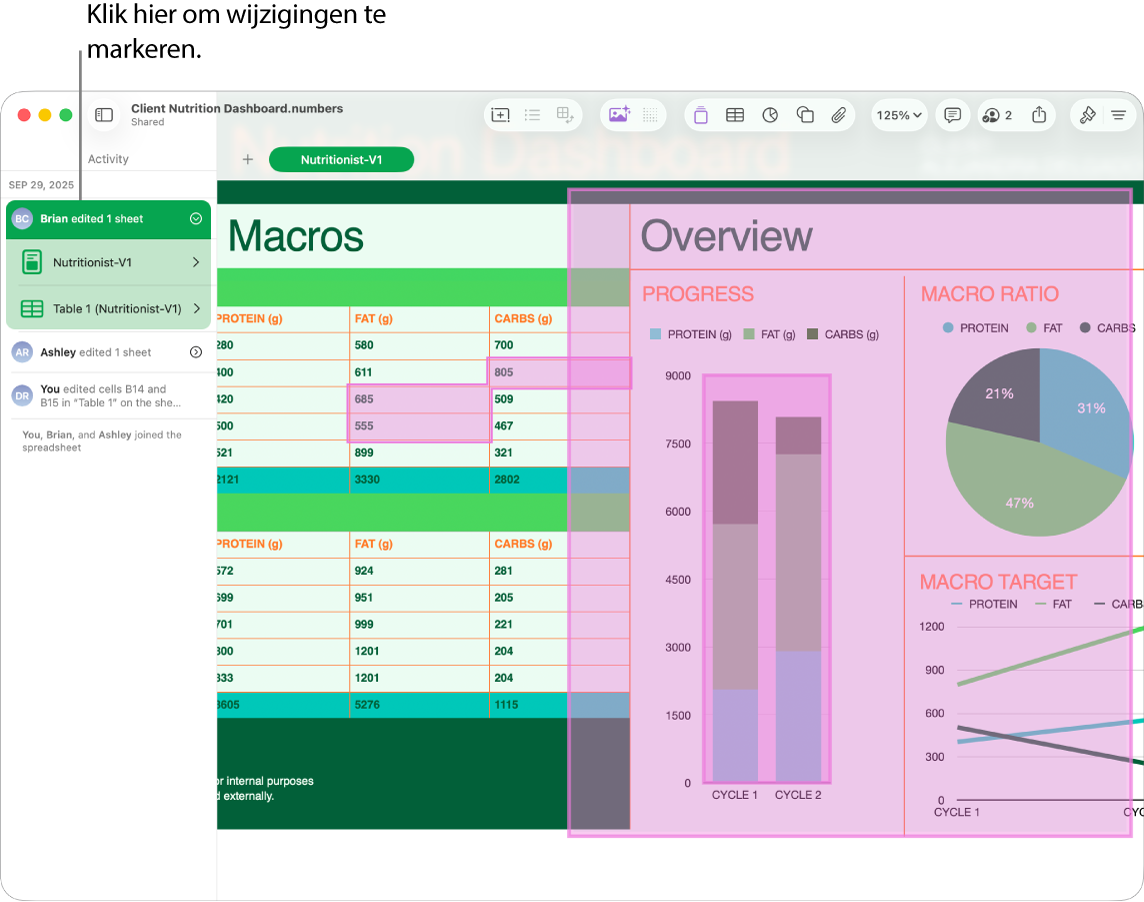 Een gedeelde spreadsheet waarin het samenwerkingsmenu en de activiteitenlijst beide geopend zijn.