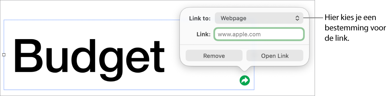 De regelaars in de linkeditor. 'Webpagina' is geselecteerd en onderaan staan de knoppen 'Verwijder' en 'Open link'.