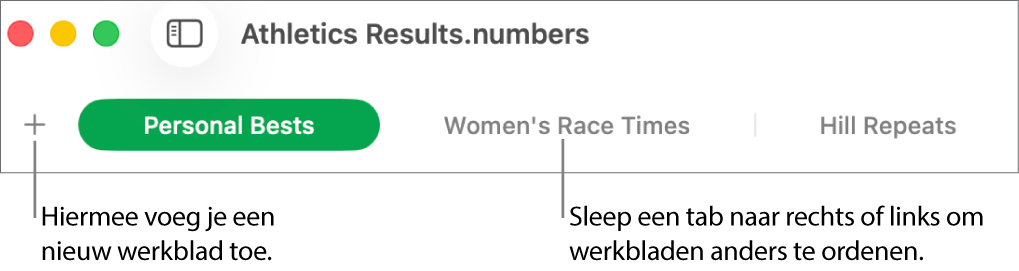De tabbladbalk voor het toevoegen van een nieuw werkblad en het opnieuw ordenen van werkbladen.